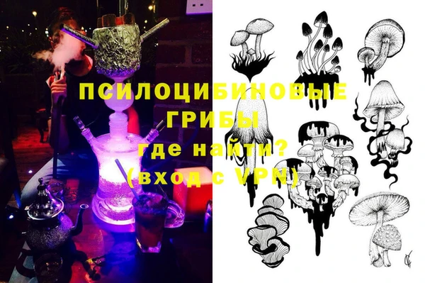 крисы Надым