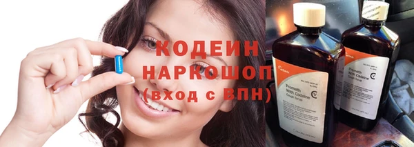 крисы Надым