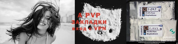 крисы Надым