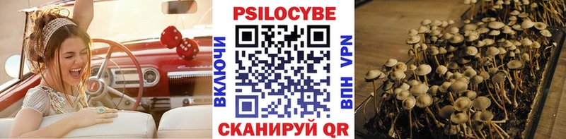 Купить Кочубеевское Псилоцибиновые грибы прущие грибы