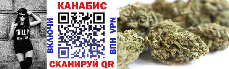 Купить Кочубеевское Каннабис гибрид